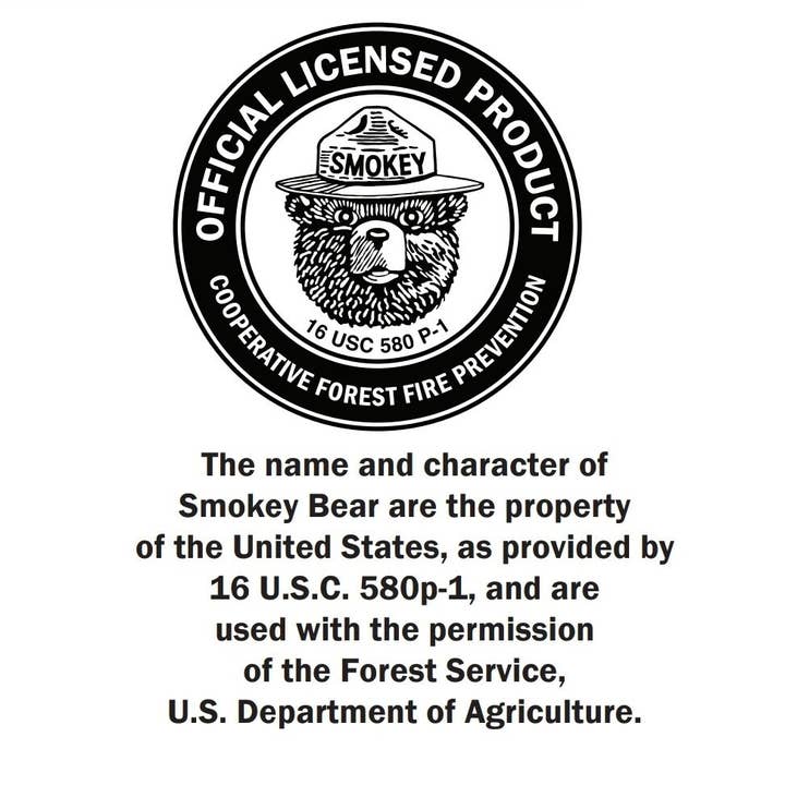 The Nostalgia Company - Wholesale Keychain - Unisex - Smokey Bear Keychain | Officially Licensed Smokey Bear Gift6