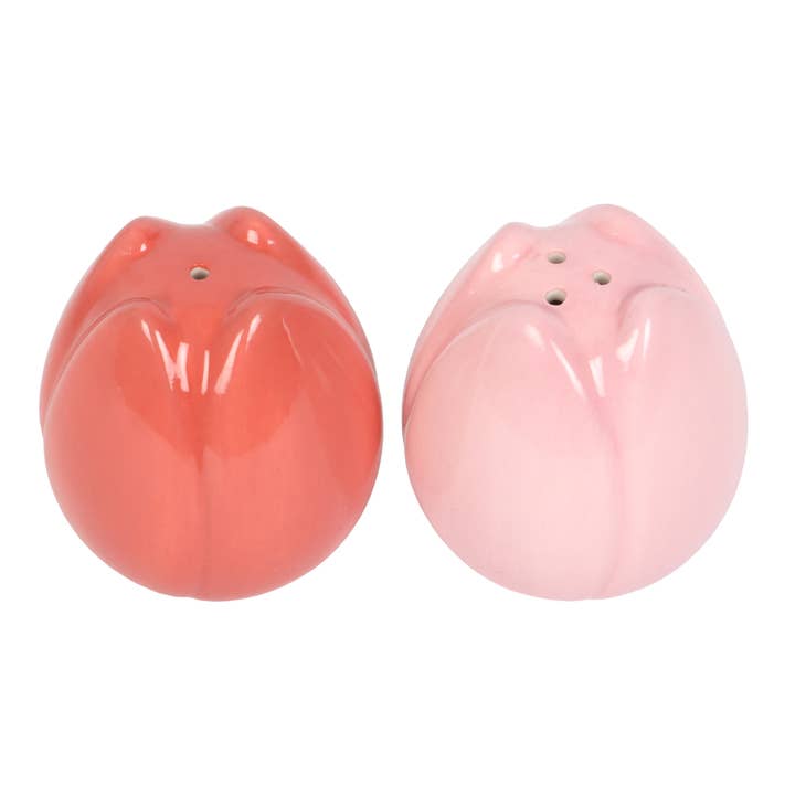 Nibble Distributors Ltd - Wholesale Salt & pepper shaker set - S/2 Tulip salt & pepper set2