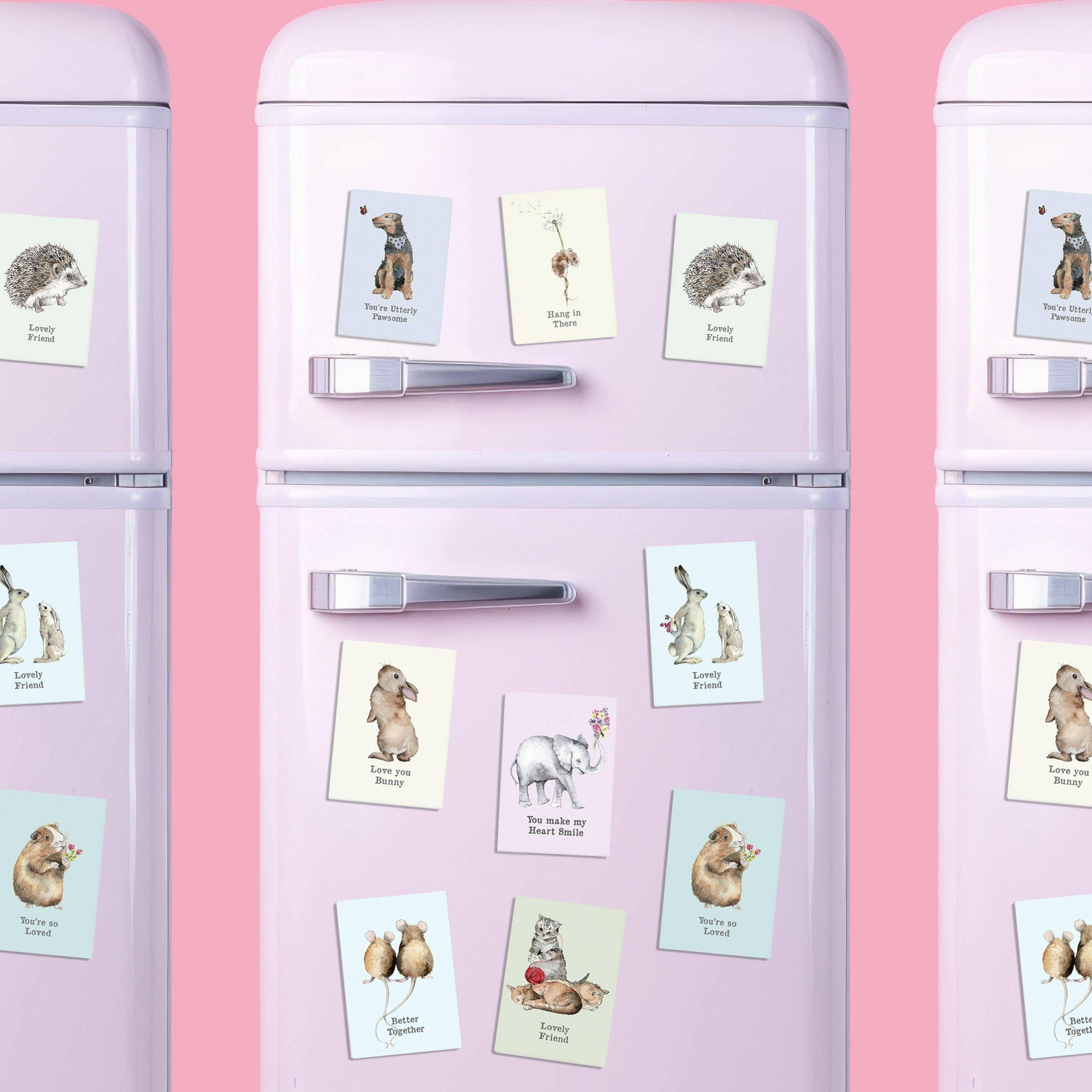 Crumble & Core - Wholesale Magneet - Katten Koelkastmagneet – Schattige Katten Cadeaus | Matte Afwerking Magnetische Stemming Verhoger1