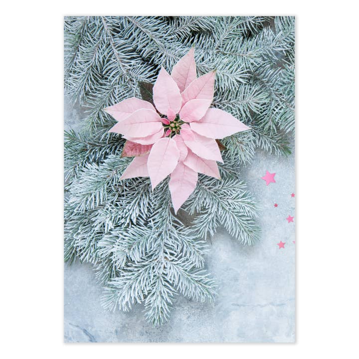 Festlicher Fotodruck mit Weihnachtsstern für den Großhandel von Ellisimo