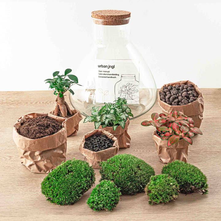 Trendhero.nl/b2b – Engroshandel DIY-hobbysæt – Terrarium DIY Kit - Sam XL Bonsai - Flaskehave - ↑ 35 cm