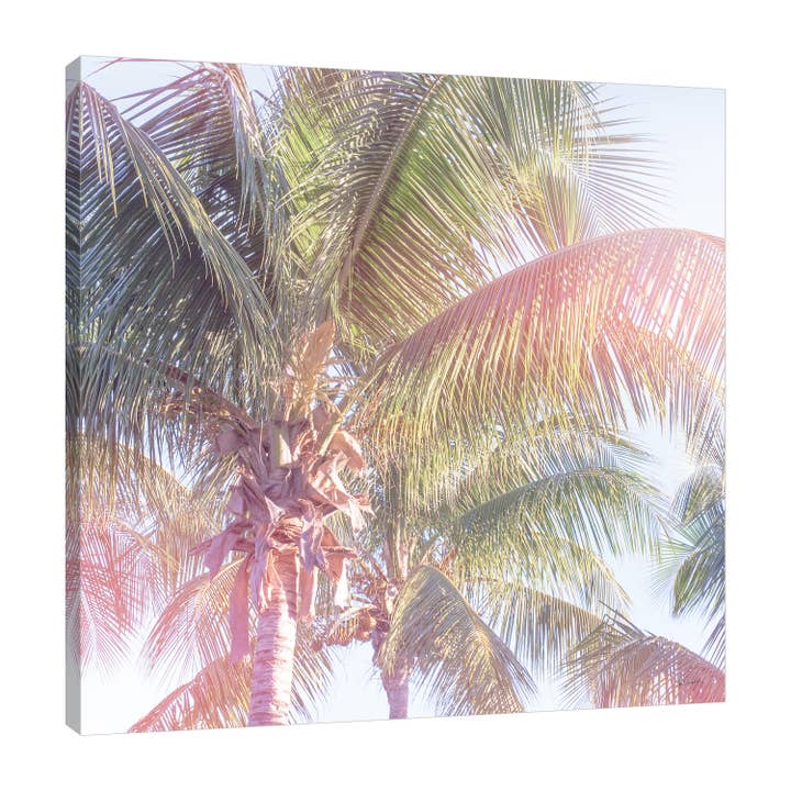 Dream Palm II Gallery Wrapped Canvas for wholesale by Jaxson Rea