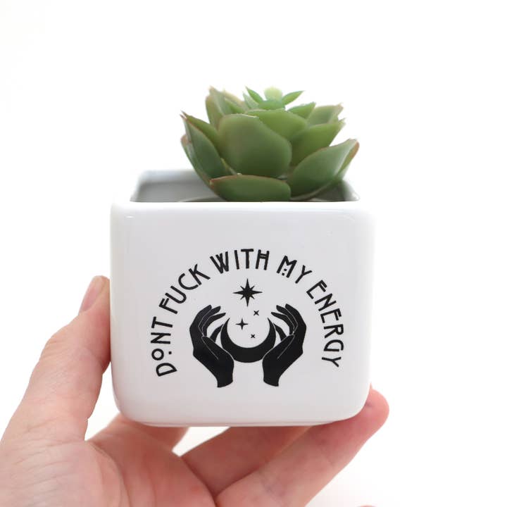 Lenny Mud - Wholesale Plant pot - Mini planter, Don't F with my Energy, small indoor succulent2