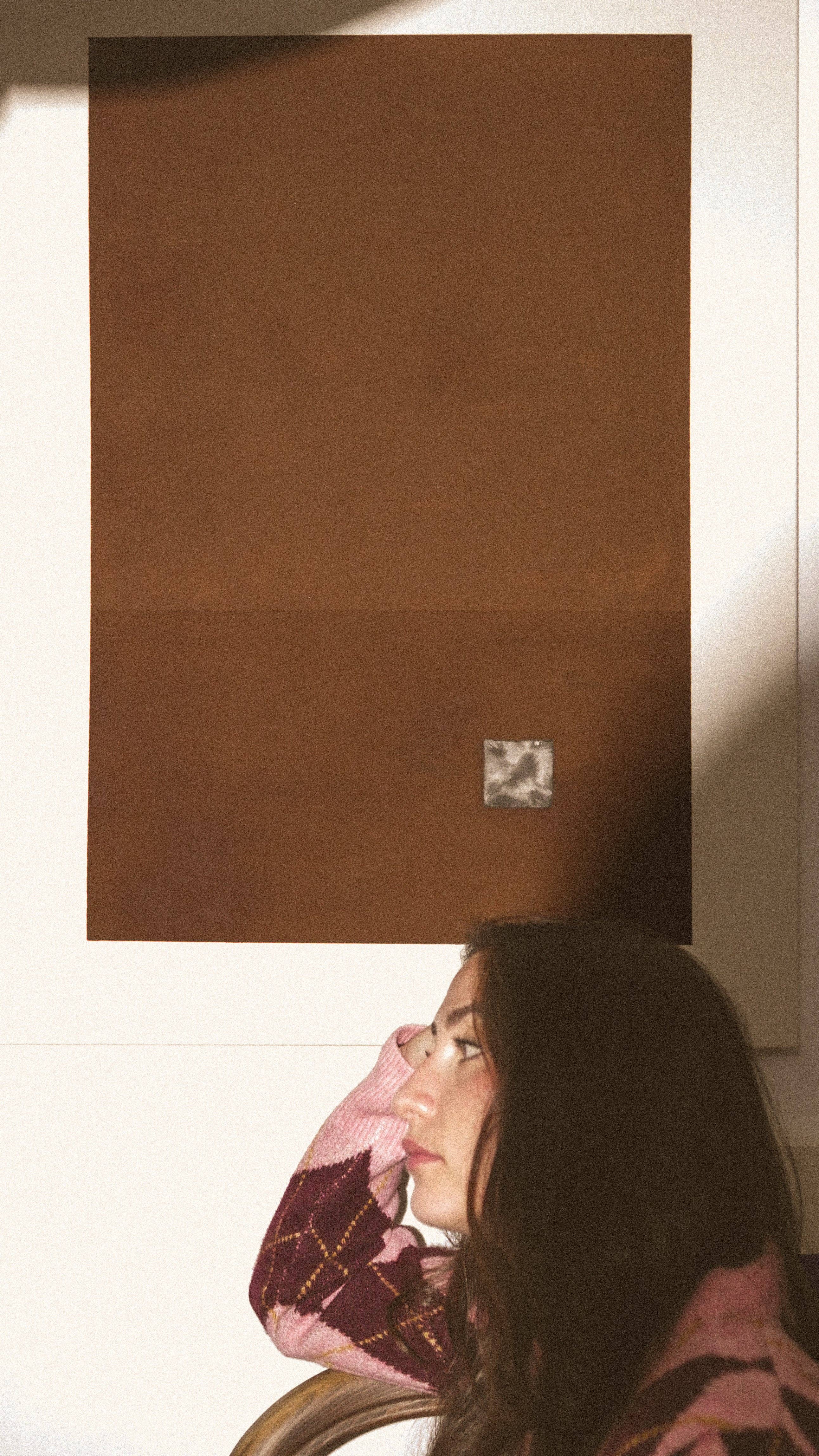 Massio Concept - Wholesale Art Print - Earth Brown Ultra Matte Painting (100 x 73 cm)2