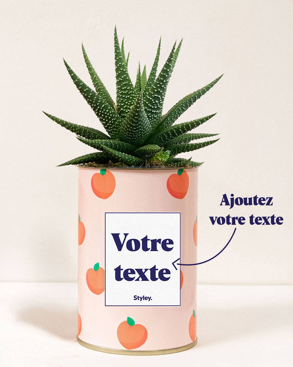 Styley - Wholesale Succulent - Pêche - Personnalisable0
