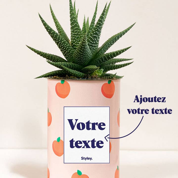 Styley - Wholesale Succulent - Pêche - Personnalisable