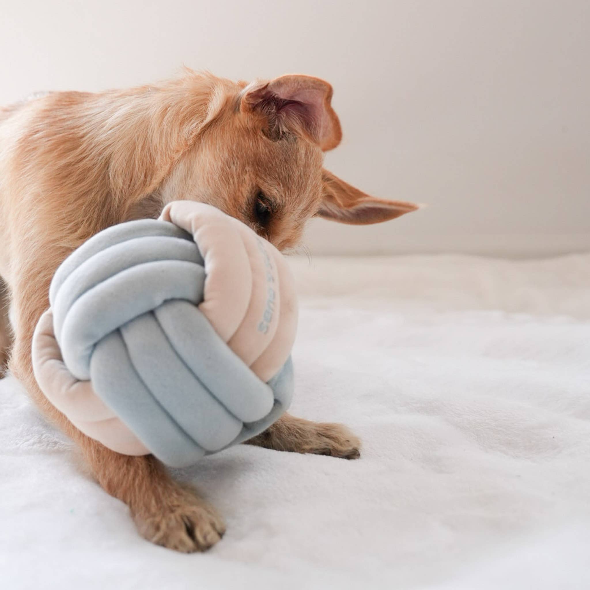 Pups & Bubs - Wholesale Pet Plush Toy - Dog - Snuffle Knot Nosework Toy4