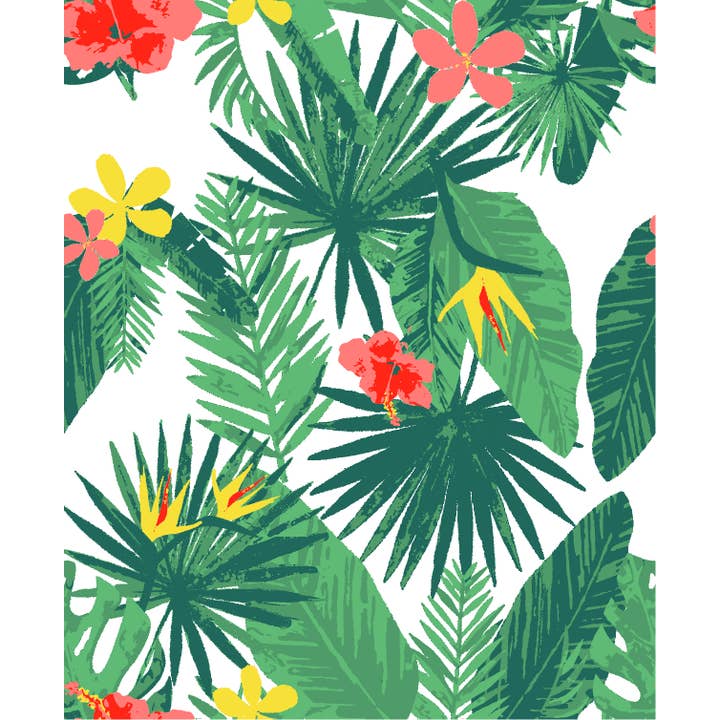 BONKS® - Venta al por mayor Expositor - Papelería y detalles - Ropa Interior de Emergencia - Paquete de Exhibición de 12 Unidades8