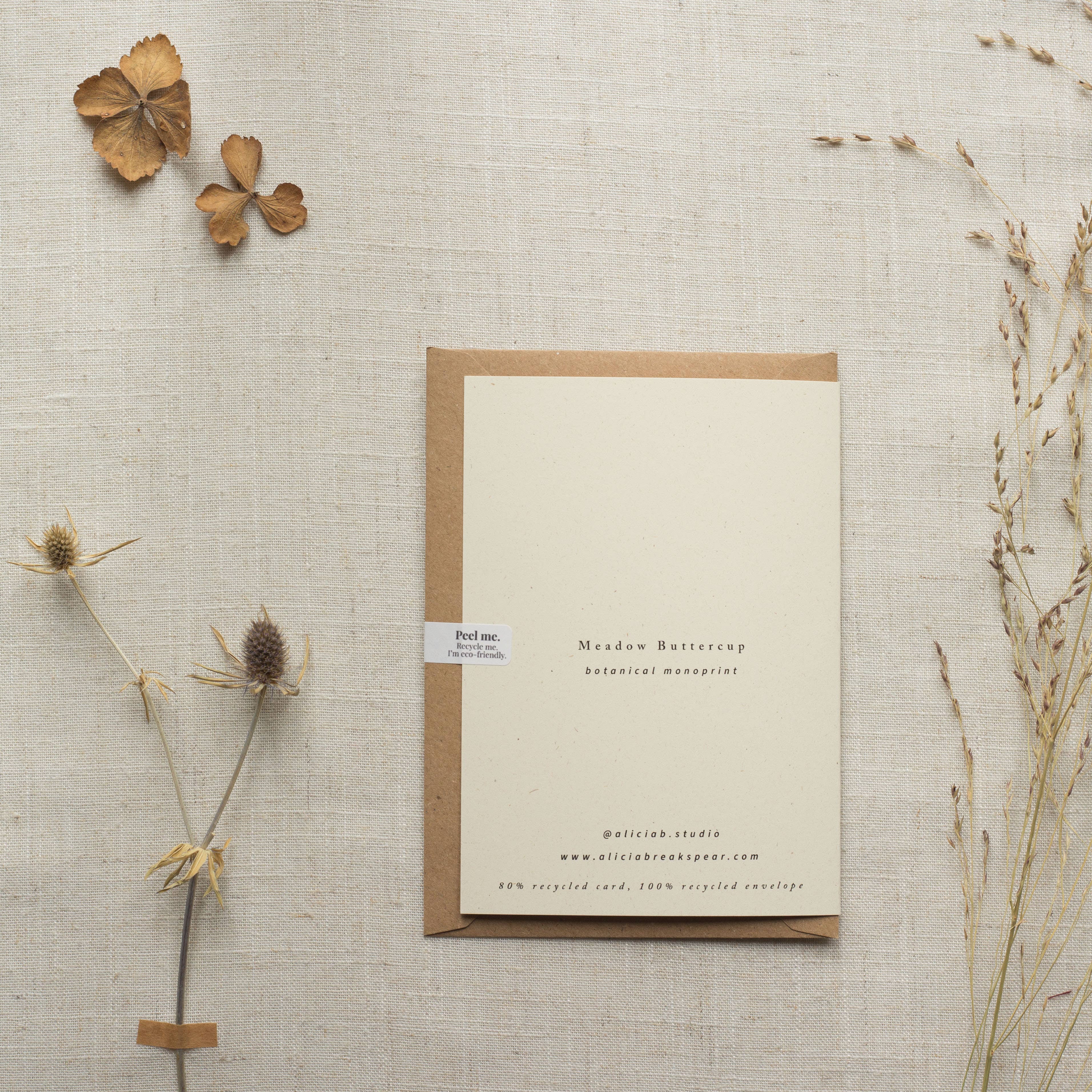 Alicia Breakspear – wholesale Everyday greeting card – Meadow Buttercup Flower Greeting Card A6 Recycled Card4