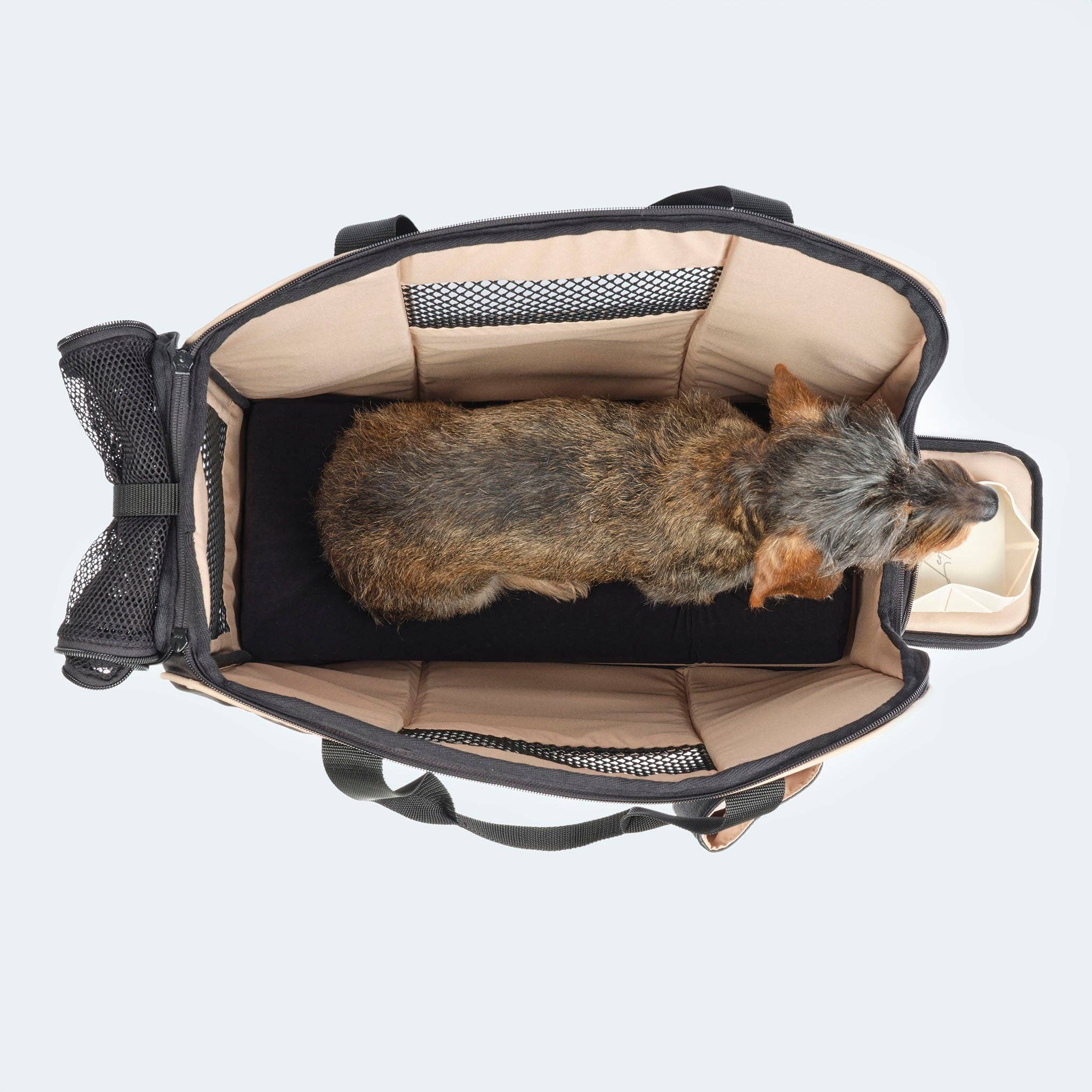 ​​Leopold's Finest for dogs - Vente Caisse de transport – chien - Sac de voyage pour teckels et petits chiens avec matelas orthopédique8