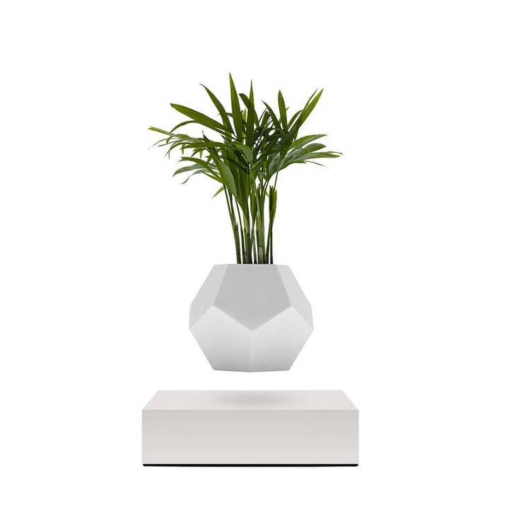Plantador LYFE - Planta levitante - Blanco para venta al por mayor de Wooden Amsterdam
