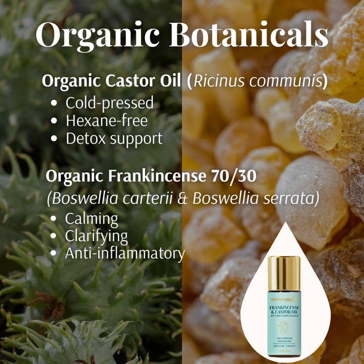 Holistic Goddess - Wholesale Body cream/lotion - Organic Castor Oil Roll-on With Frankincense8