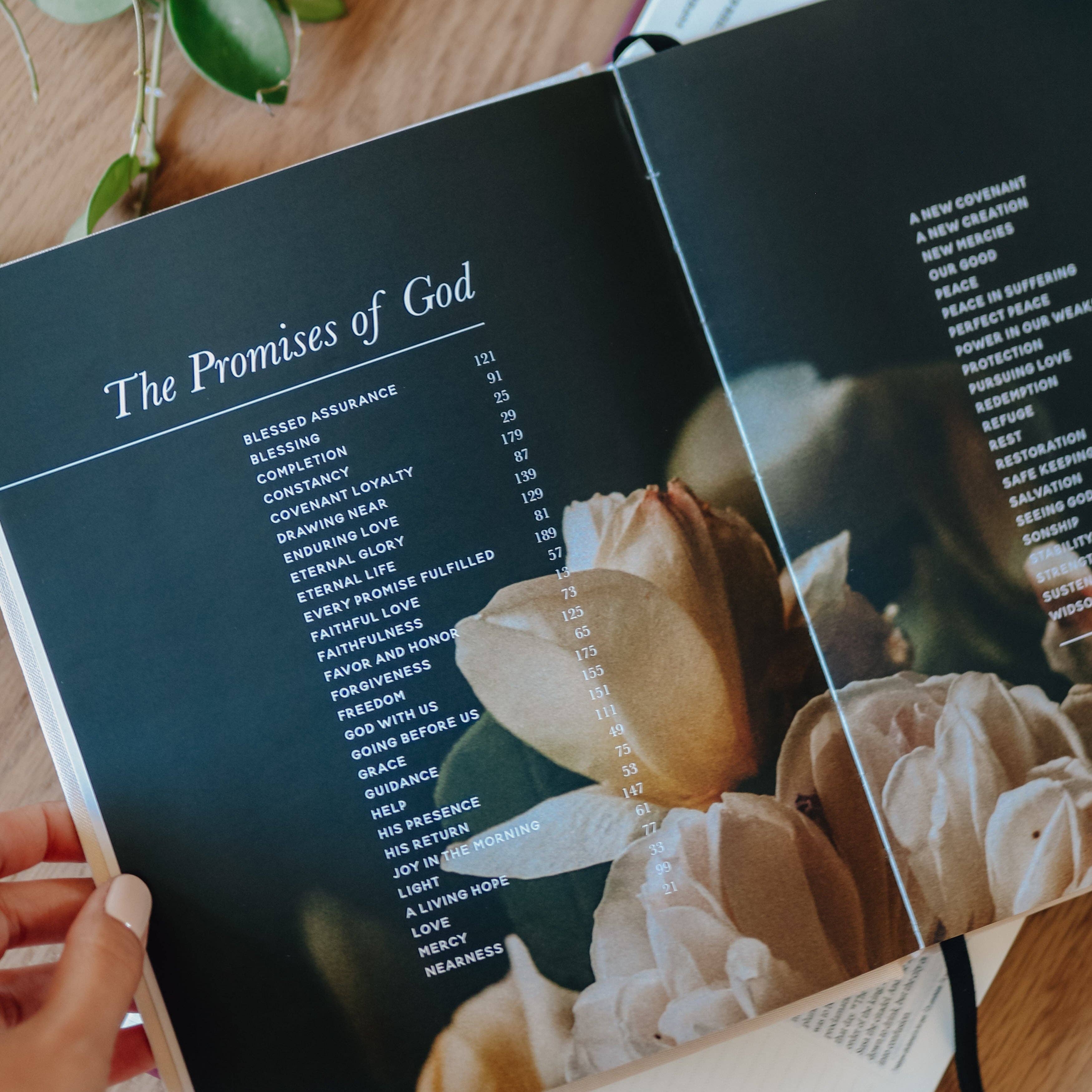 The Daily Grace Co - Wholesale Religion - The Promises of God | Coffee Table Book7