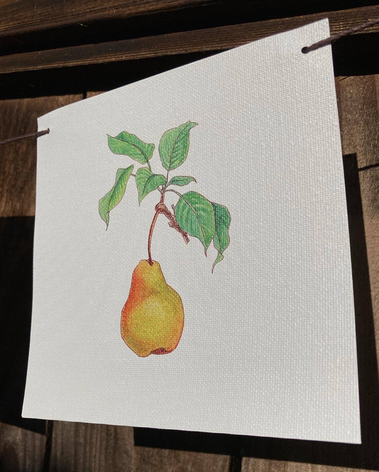 Plant Posse – wholesale Banner – Produce Prayer Flag13