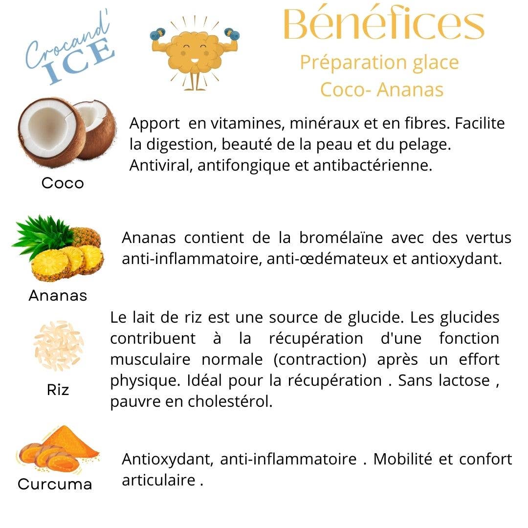 Crocandiz - Wholesale Pet Treats - Dog - Dog treat, pineapple-coconut ice cream for dogs5