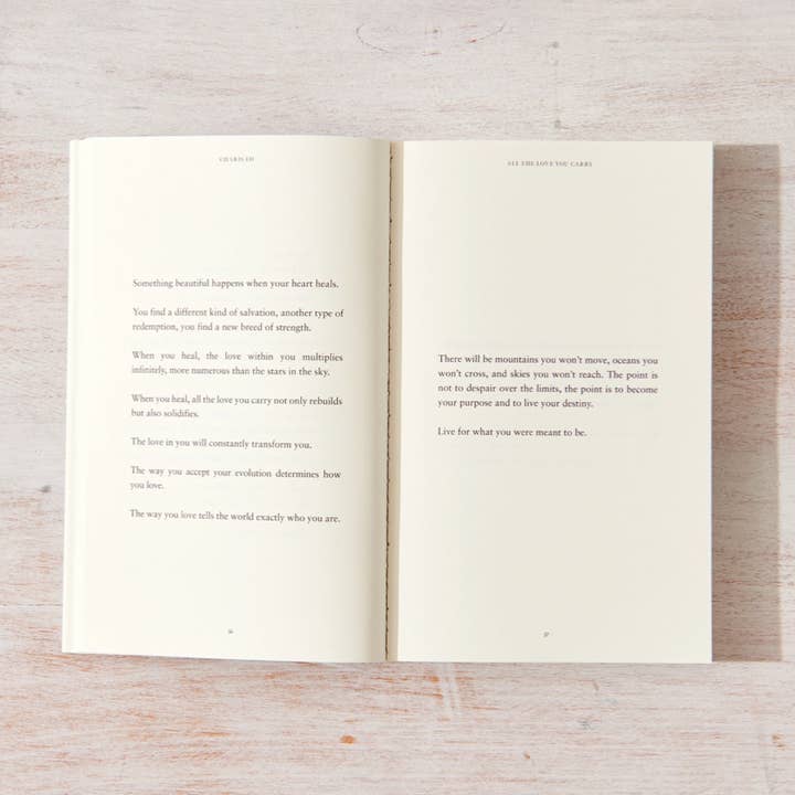 Thought Catalog - Wholesale Poetry & Drama - All The Love You Carry - book3