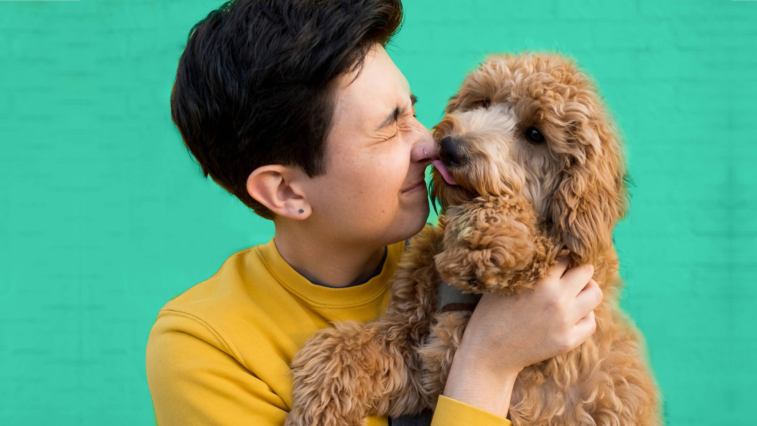 Yomp - Wholesale Pet Bowl - Cat/Dog - Yomp BetterFeeder: Dishwasher-Safe Slow Feeder Bowl for Dogs3