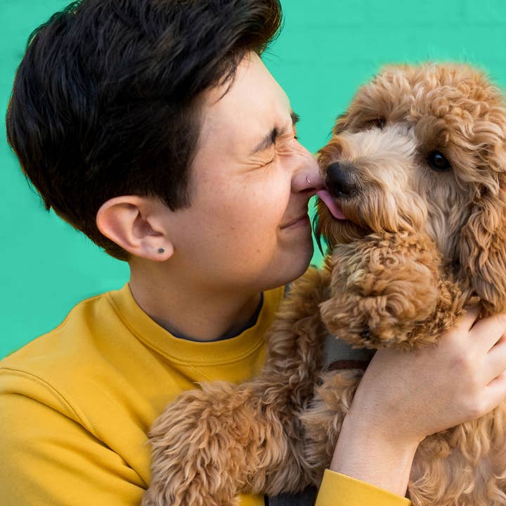 Yomp - Wholesale Pet Bowl - Cat/Dog - Yomp BetterFeeder: Dishwasher-Safe Slow Feeder Bowl for Dogs3