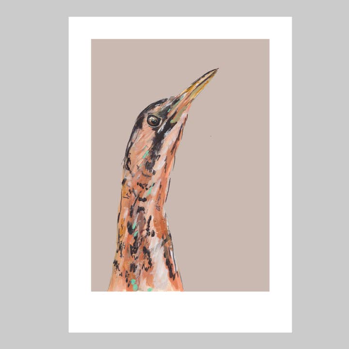 Bittern Art Print Wetland Bird Wall Art Nature Wildlife for wholesale by Ellwood Parker