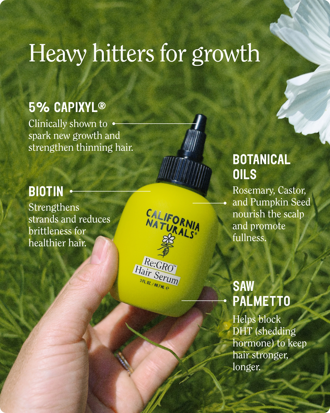 California Naturals - Wholesale Hair Serum - Re:GRO Hair Serum2