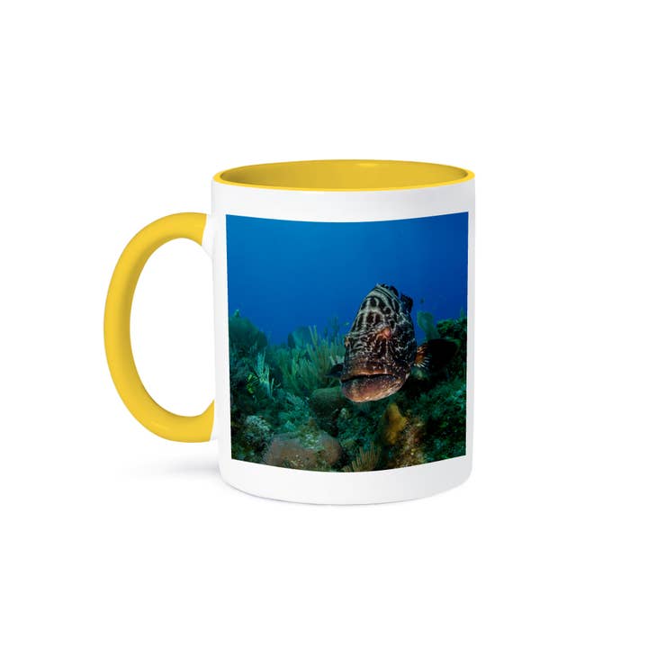 3dRose - Wholesale Coffee Mug - 3dRose, Cuba - Black Grouper, Jardines de la Reina NP, Cuba, Mug