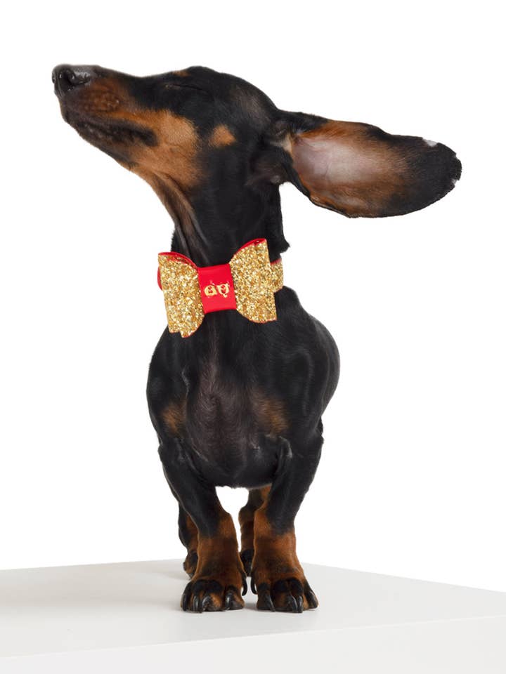 Glam hundhalsband för wholesale av MOSHIQA