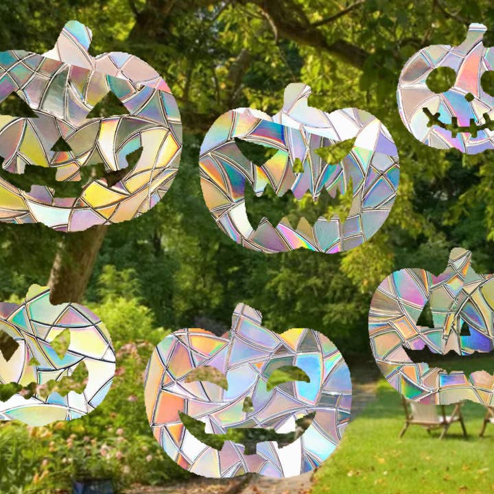 Mustard Tiger – Engroshandel Solfanger – Græskarformet Solfangerpakke