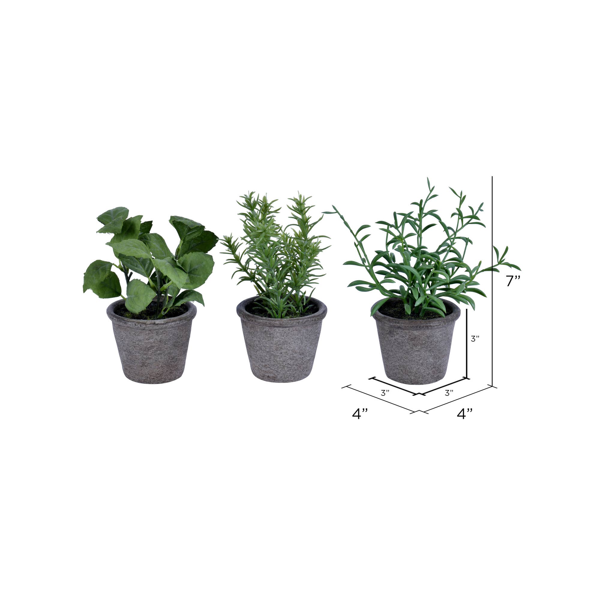 Vickerman 7" Green Potted Herbs Assort 3/pk for wholesale on Faire1