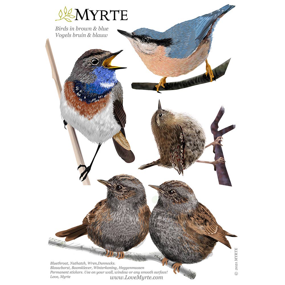 MYRTE - Wholesale Wall Decal/Stickers - Birds in Blue and Brown Illustration Wall Decal3