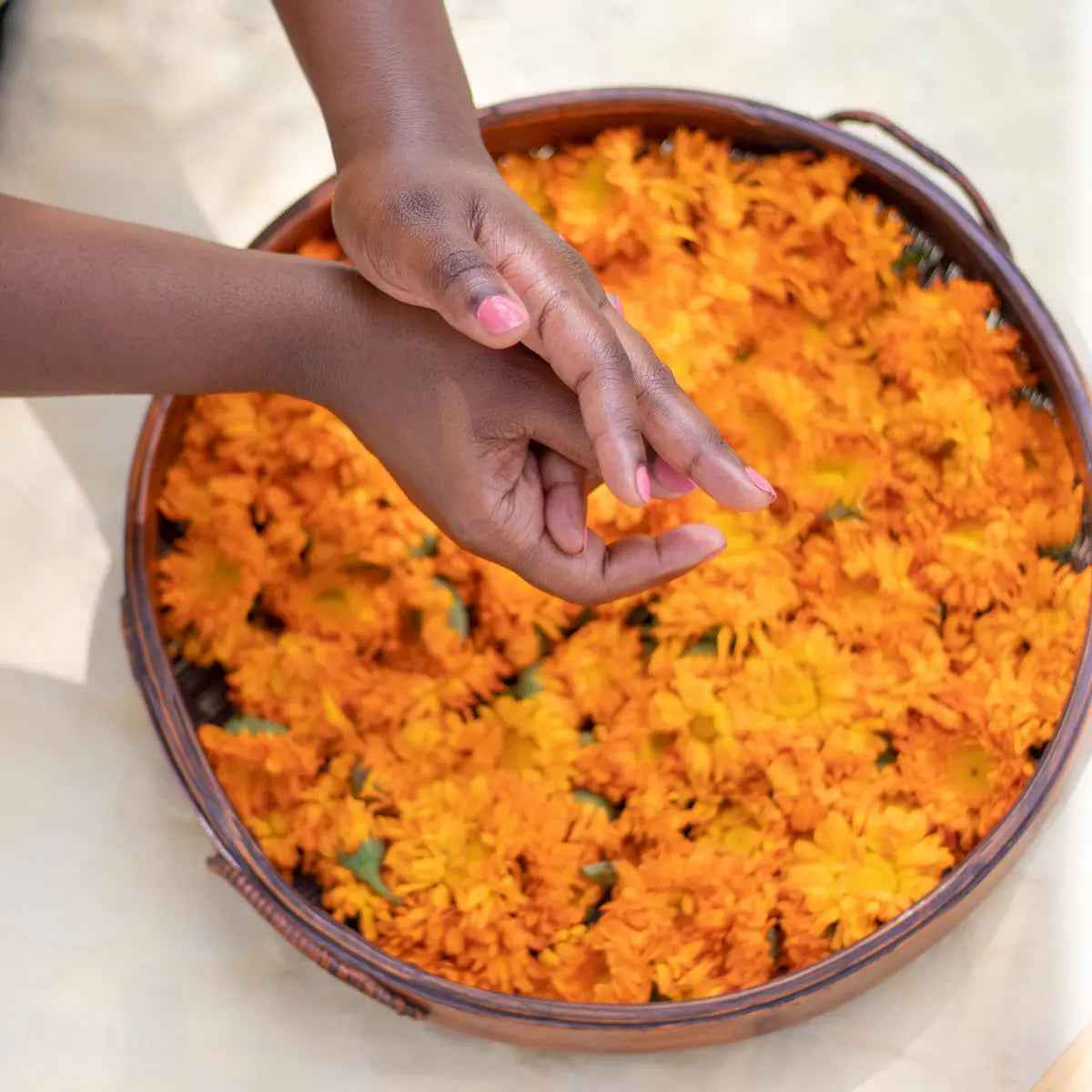 Kuumba Made - Wholesale Bath/Body Oil - Calendula Coconut Oil6