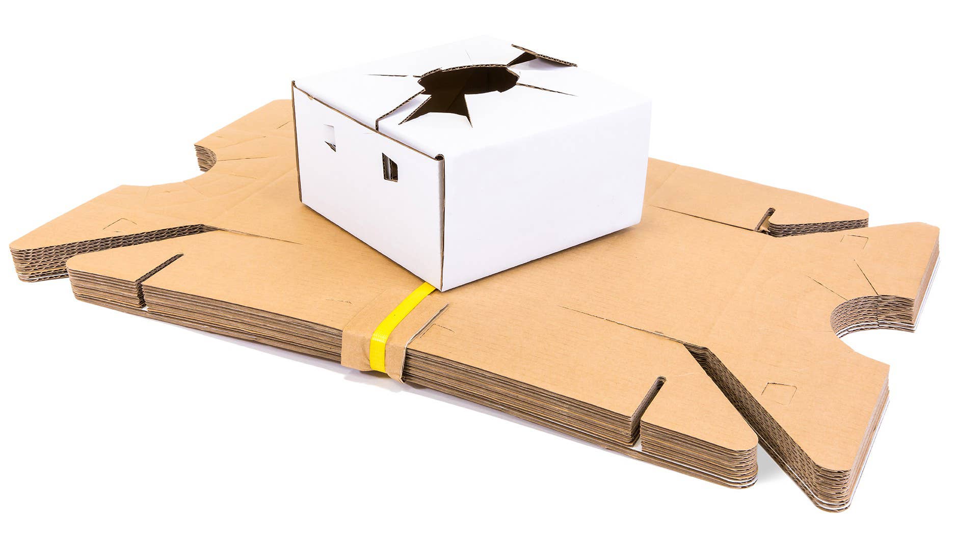 UNIMIX FLORAL - Vendita all'ingrosso Vasi - Scatole in cartone per trasporto vaso - confezione da 507