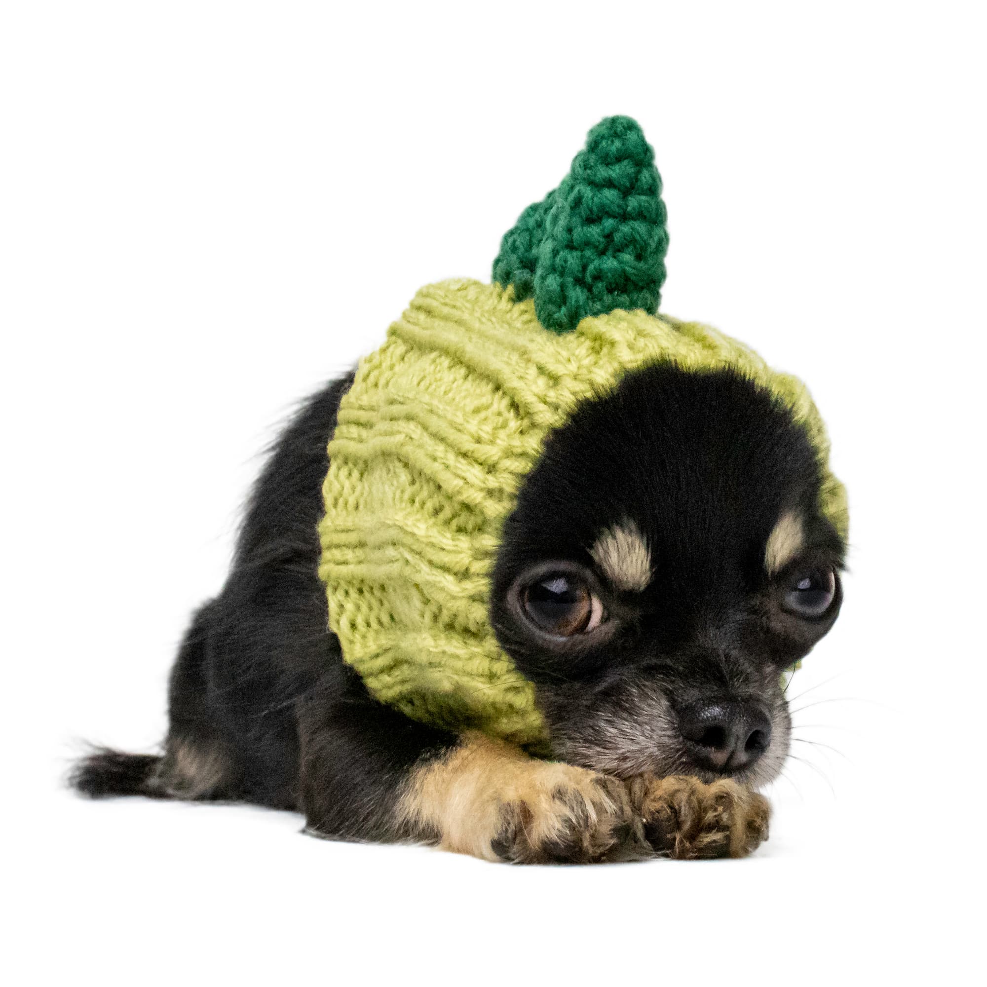 Zoo Snoods - Wholesale Pet Snood - Dog - Dinosaur Dog Snood0