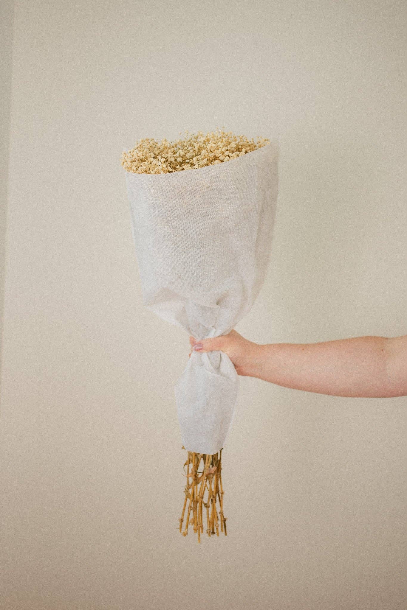 Eucalypt Co. - Wholesale Dried/pressed flowers - Preserved Babies Breath Bundles5