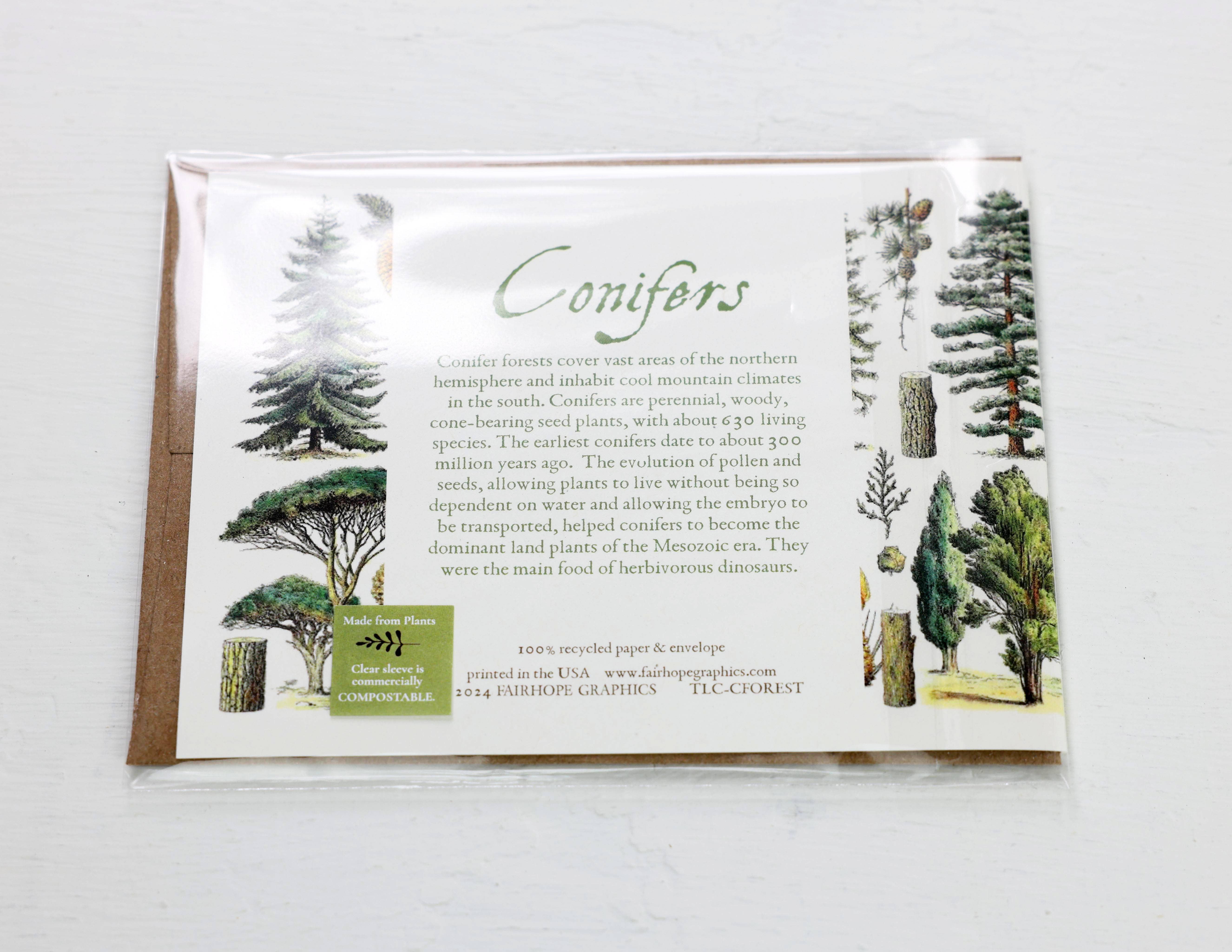 Fairhope Graphics - Vente Carte de vœux classique - Carte de la forêt de conifères2