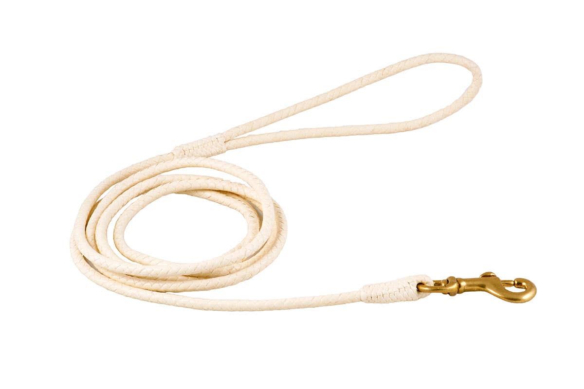 Alvalley - Wholesale Pet Leash - Dog - Braided Leather Snap Leads37