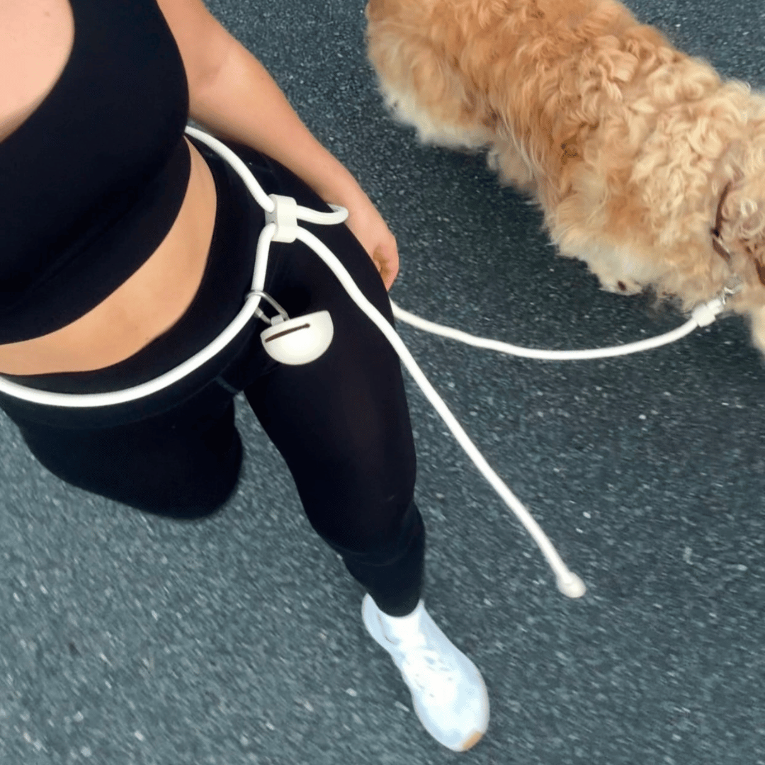 ST ARGO - Wholesale Pet Leash - Dog - HANDS FREE LEAD - Cream2