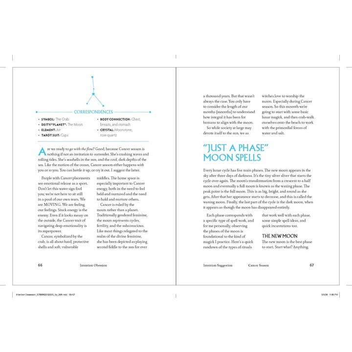 HarperCollins - Wholesale Body, Mind & Spirit - Intention Obsession: Erica Feldmann3