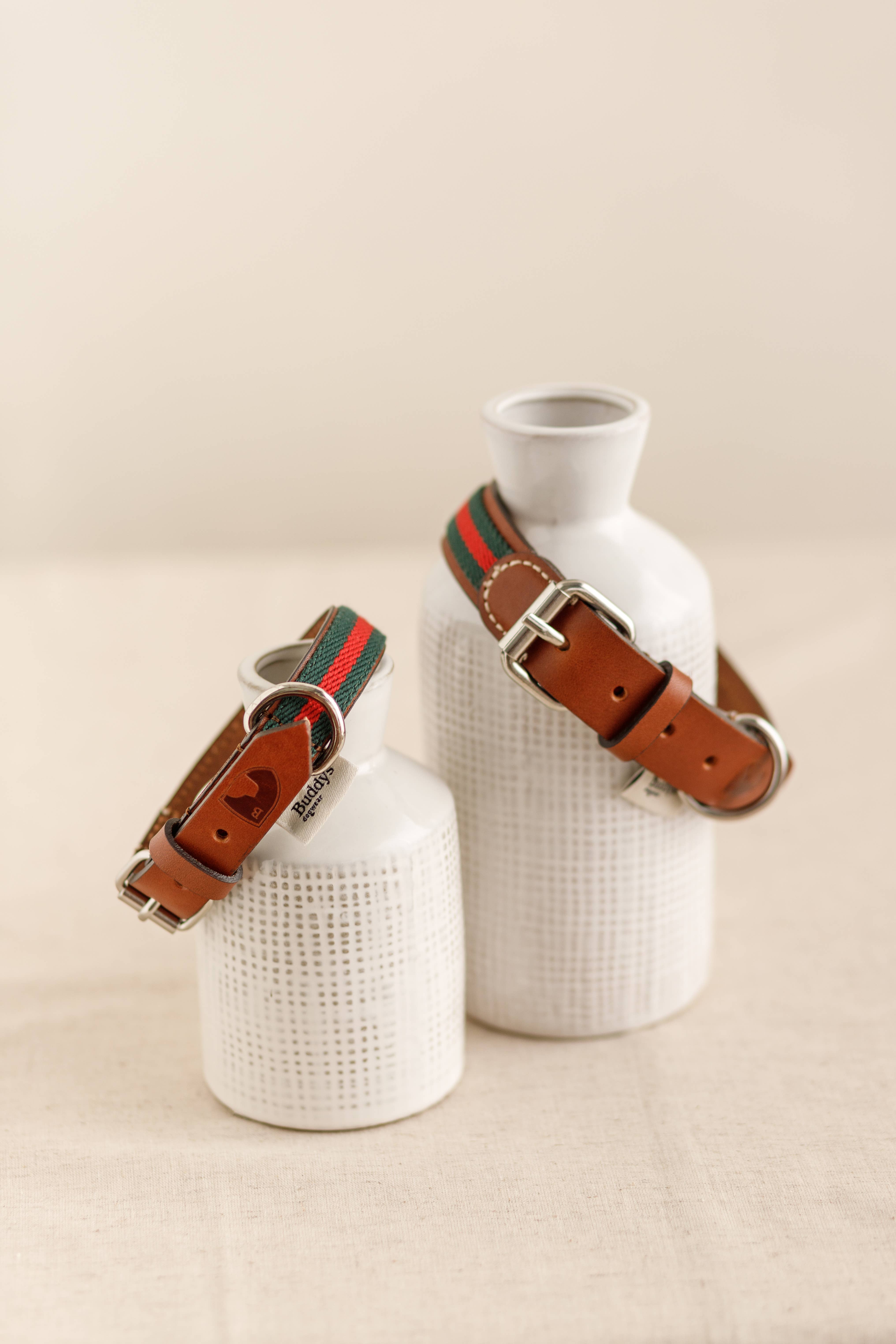 Buddys dogwear - Vente Collier – chien - Collier pour chien style baseball vert4