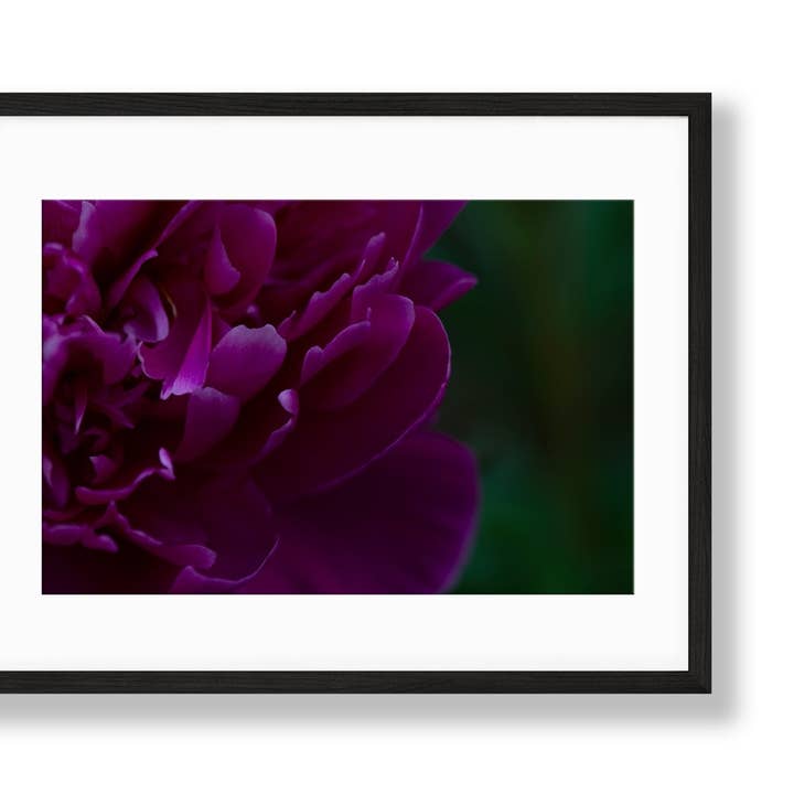 Pivoine | N° 5 pour la vente par Chelsey Walker Creative