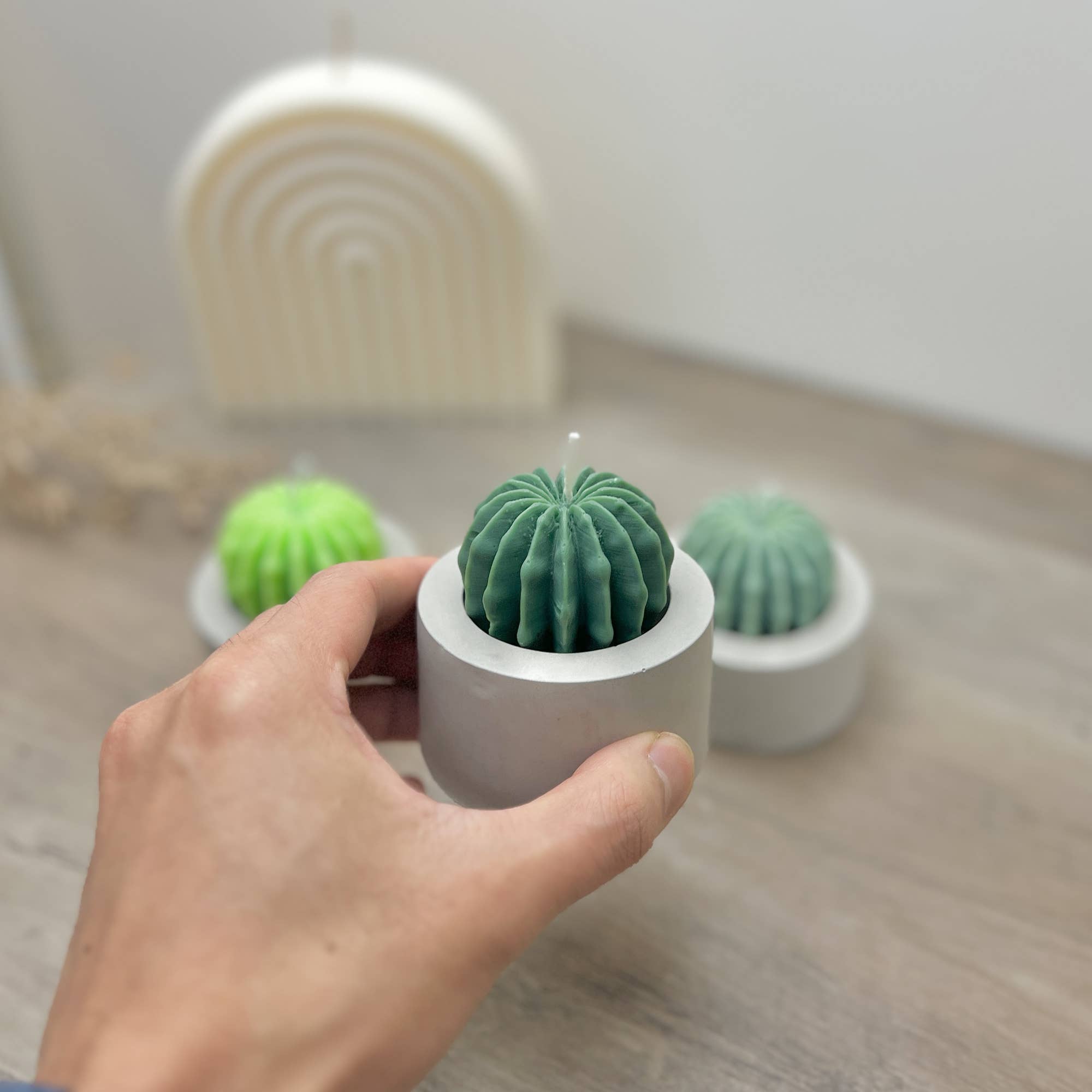 Eli and Things – wholesale Novelty candle – Round Barrel Cactus Candle - Cactus Home Decor - Cacti Gifts6