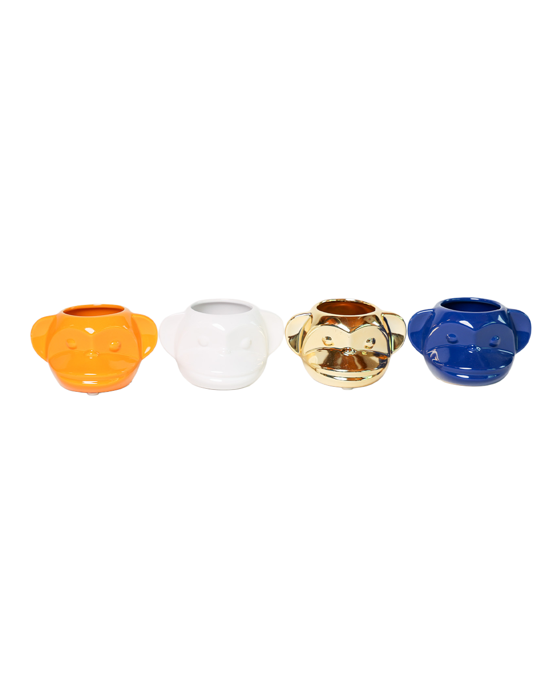 Chive - Wholesale Plant Pot - Funky Monkey Succulent Pot For Plants Cactus Pot 5 Inch7