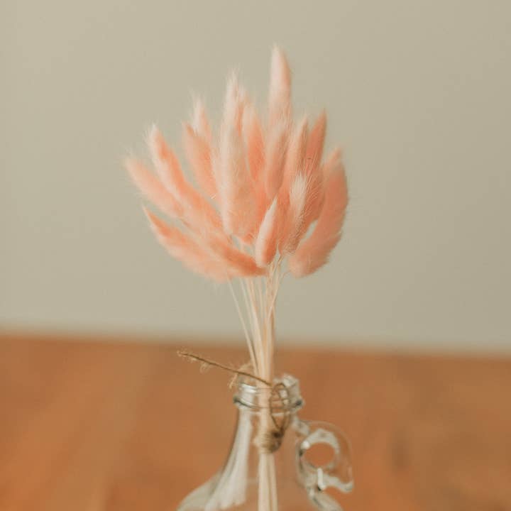 Eucalypt Co. - Wholesale Dried/Pressed Flowers - Bunny Tails
