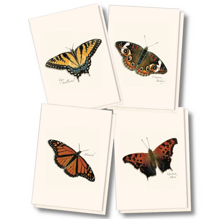Earth Sky + Water - Wholesale Stationery/Notecard Set - Butterfly Assortment