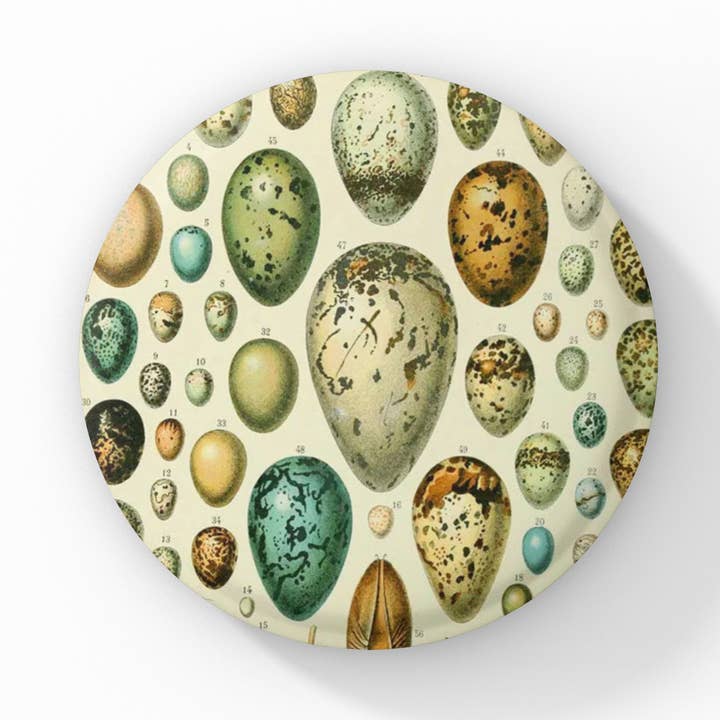 Bird Eggs Pin, Bird Eggs Keychain, Bird Eggs Magnet for wholesale by NatureCuts