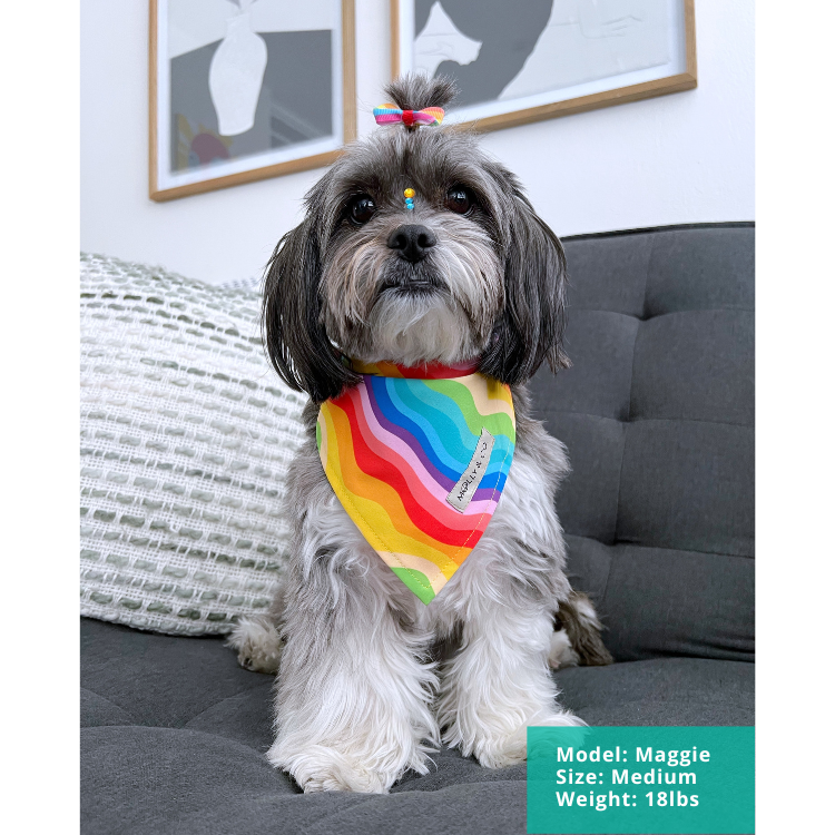 Molly & Co. – wholesale Pet bandana – Dog – Love is Love - Bandana2
