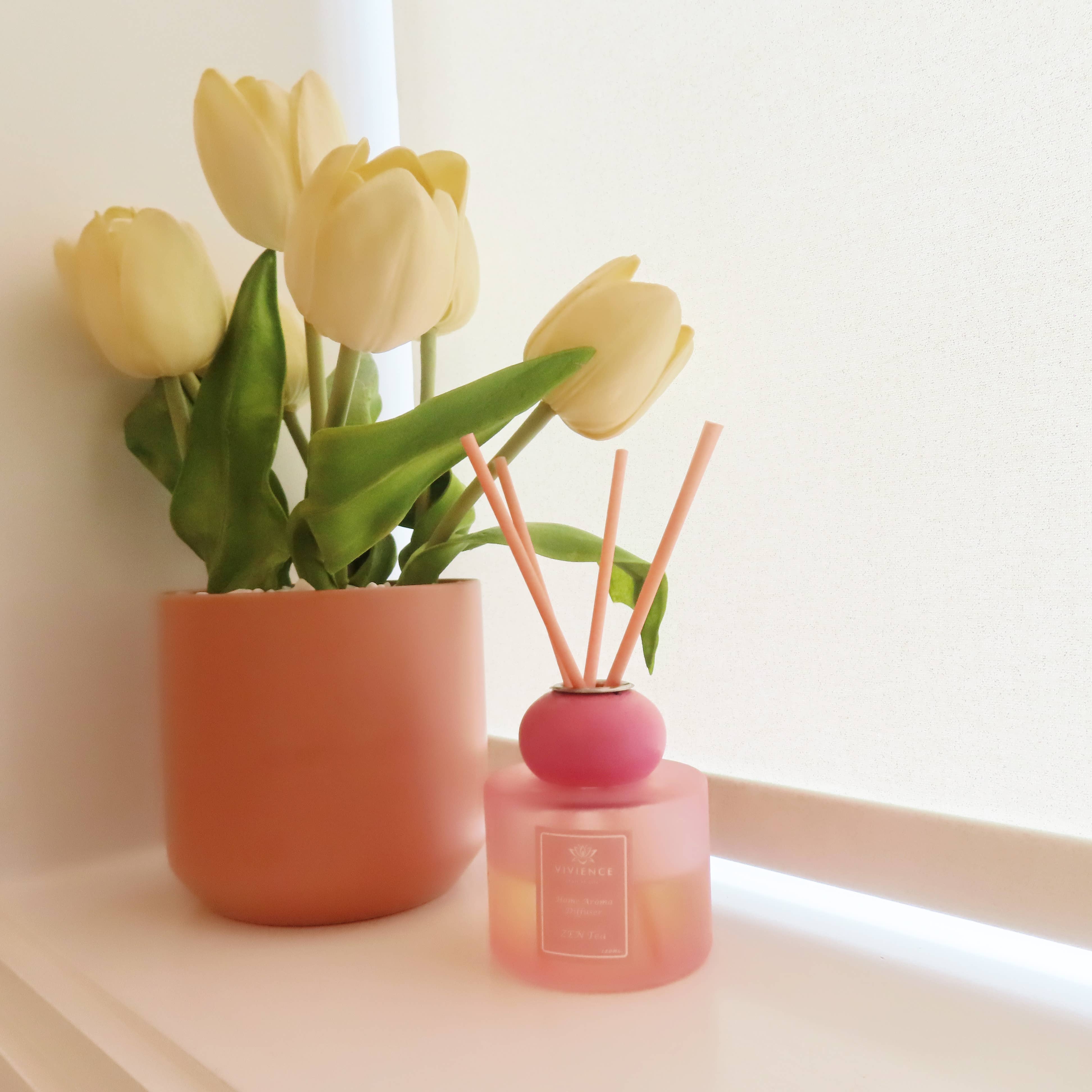 VIVIENCE - Vendita all'ingrosso Diffusori a lamella - Set di 2 diffusori: blu, rosa10