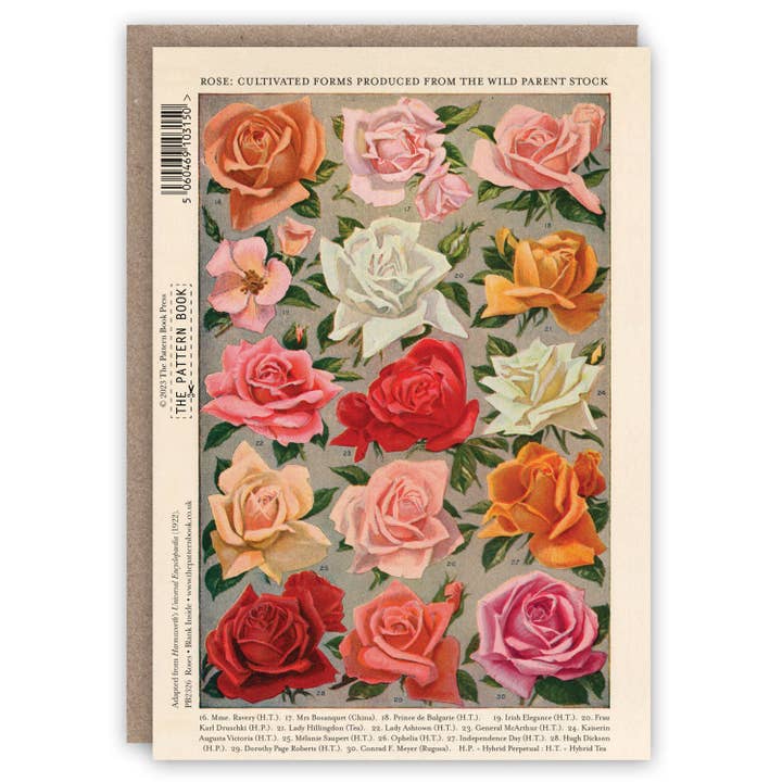 The Pattern Book - Wholesale Everyday Greeting Card - Roses1