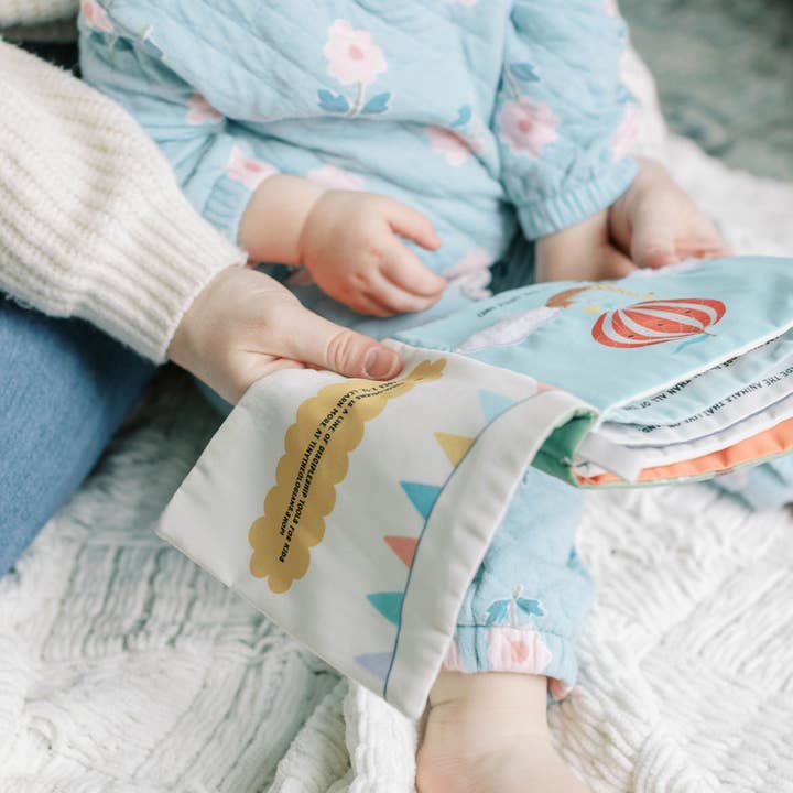 Tiny Theologians - Wholesale Baby & Toddler Book (0-2) - In His Image Fabric Baby Book25