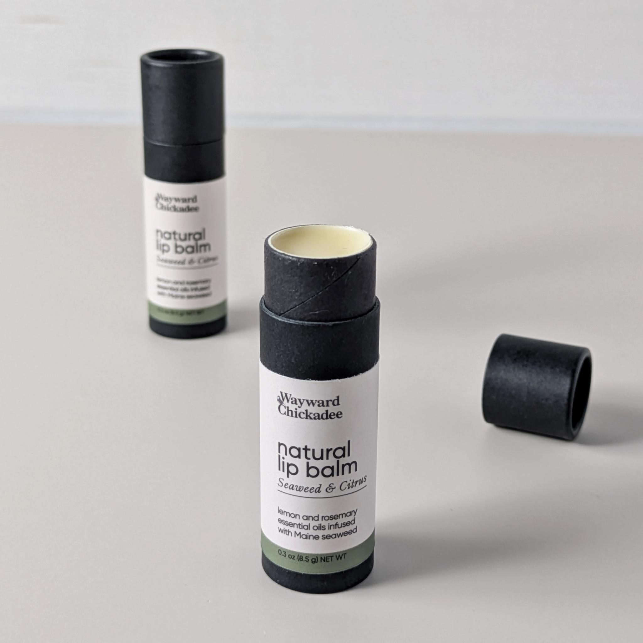 Wayward Chickadee - Vente Baumes à lèvres - Baume à lèvres aux algues et aux agrumes2
