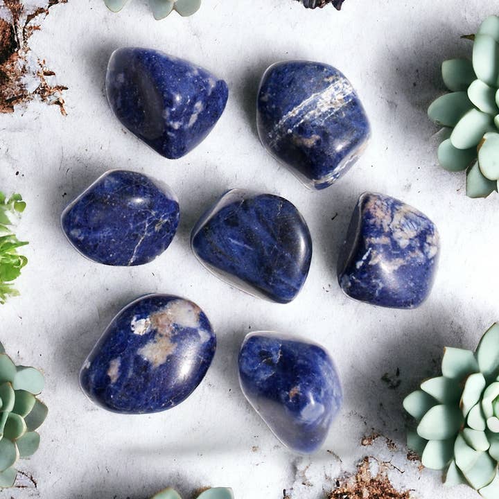 Sodalite Tumbled Stone – Clarity and Balance for wholesale by Magic Moon